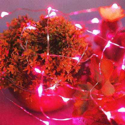 Combo Ariceleo Mini Fairy Lights, (5m/16ft Red + 5m/16ft Green)