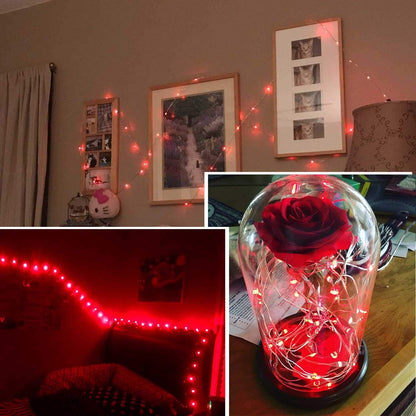 Combo Ariceleo Mini Fairy Lights, (5m/16ft Red + 5m/16ft Green)